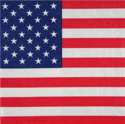 Immagine prodotto di 20 tovaglioli USA in carta 33 x 33 cm - taglia unica
