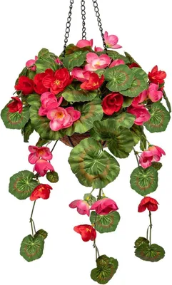Produktbild von Künstliche Hängegeranie 70cm mit Hängeampel Mittel Rosa & Rot