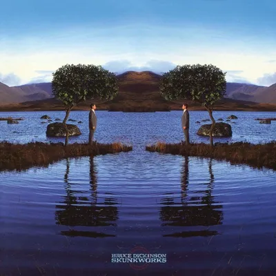 Produktbild von Dickinson,Bruce-Skunkworks