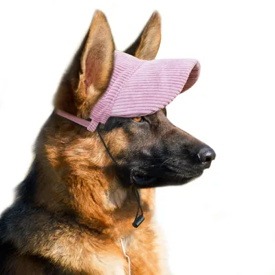 Produktbild von Hundehutze mit verstellbarem Schirm und Ohröffnungen für Sonnenschutz
