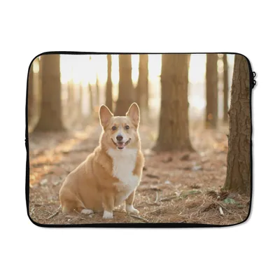 Produktbild von MuchoWow® Laptop Hülle 14 ZollCorgi zwischen den Bäumen Laptoptasche - Laptoptasche - Stoßsicher - Schutzhaube