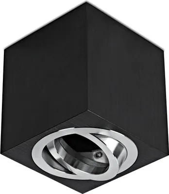 Image de Spot à poser en aluminium orientable GU10