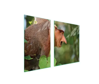 Produktbild von GLASPLATTE und SCHNEIDEBRETT 100x52 NOSACZ