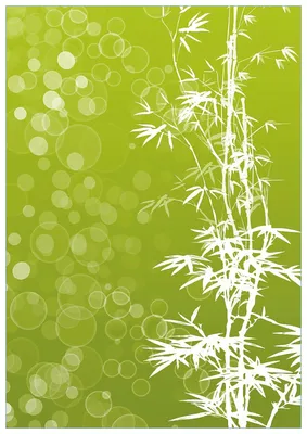 Produktbild von Wallario Premium Glasbild, freischwebende Optik, kräftige Farben, Größe 100 x 70 cm Motiv Bambusmuster grün-weiß