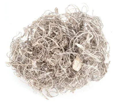 Curly Moos in Weiß, ca. 500 g gebleichte und gefrostete Faser