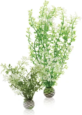 Produktbild von biOrb Winterblume Set 2 (46067)