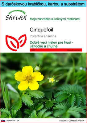 Obrázok produktu pre SAFLAX Darčeková sada - cinquefoil - Potentilla anserina - 20 Semená - S darčekovou krabičkou, prepravným štítkom, darčekovou kartou a pestovateľským médiom