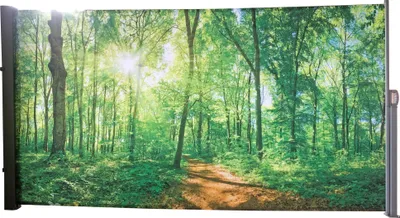 A retractable side awning with a printed image of a sunlit forest clearing.