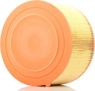 Immagine prodotto di Filtro Aria Ford Ranger 2,2/3,2 Tdci 11-