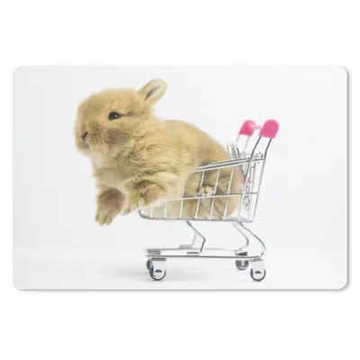 Produktbild von MuchoWow® Schreibtischunterlage Kaninchen - Baby - Weiß 60x40 cm - XXL Mauspad - Großes Mauspad