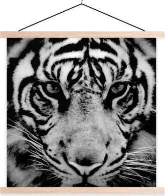 Produktbild von MuchoWow® Textilposter Sumatra-Tiger vor schwarzem Hintergrund in schwarz und weiß 40x40 cm mit holzfarbenen Rahmen - Posterleiste