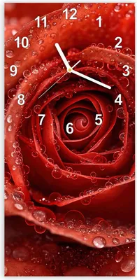 Produktbild von Wanduhr aus Glas mit Motiv Wassertropfen Rose- 30 x 60 cm - inkl. Aufhängesystem