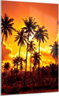 Produktbild von Bilder auf glas - Einteilig - Palmen Bäume Sonne - 70x100cm - Glasbilder - Wandbilder - Bilder - zum Aufhängen bereit - Wanddekoration aus Glas - Glas Bilder - Wandbild auf Glas - GPA70x100-0187