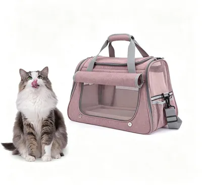 Image de Solidchoice - Cage de transport pliable pour chats et petits chiens