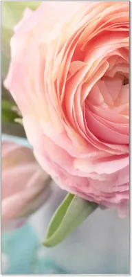 Produktbild von Stahl Magnettafel Hochformat 78x37cm Rosa Tulpe