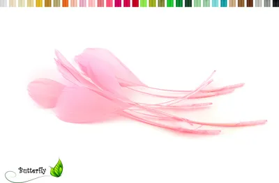 Produktbild von 10 Gänse Coquetips 12-20cm , Farbauswahl:rosa 148