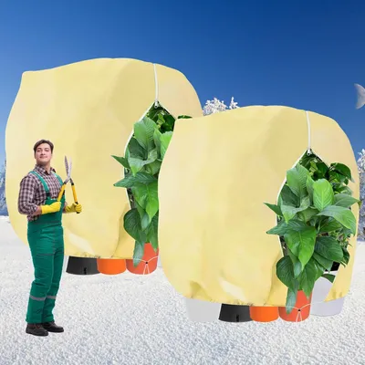 Image de 2 pièces XXL protection hivernale pour plantes 250x360cm - protection contre le gel & voile d'hivernage pour plantes en bacs