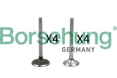 Produktbild von Borsehung Ventil B18766 für VW Golf IV Schrägheck (1J1)