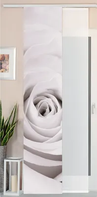 Produktbild von 2er Set Schiebegardine Flächenvorhang Wildseide Optik und Voile Paneel, 245x45, Rose, 80400