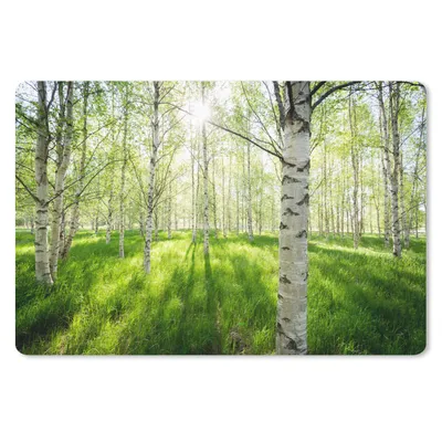 Produktbild von MuchoWow® Mauspad Mousepad Birke - Wald - Frühling 27x18 cm - Mousepads - Maus Mat - Pad - Mausunterlage - Büroartikel - Desk Matten