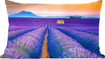 Produktbild von MuchoWow® Zierkissen Sofakissen Wohnzimmer Dekokissen 60x40 cm Lavendel - Lila - Blumen - Kopfkissen - Polster mit Foto