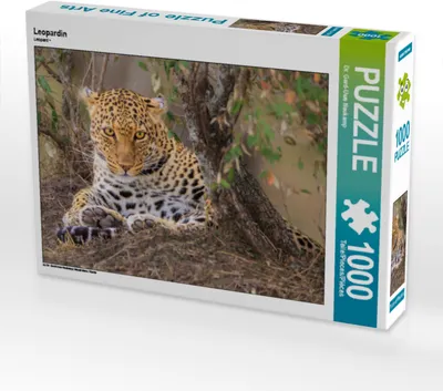 Produktbild von CALVENDO Puzzle Leopardin | 1000 Teile Lege-Größe 64x48cm Foto-Puzzle für glückliche Stunden