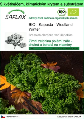Obrázek produktu pro SAFLAX Garden to go - BIO - Kapusta - Westland Winter - Brassica oleracea var. sabellica - 70 Semena - S květináčem, klimatickou poklicí a pěstebním substrátem
