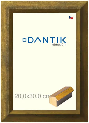 Zdjęcie produktu dla Ramka DANTIK 20x30 | Forgia Gold (szkło przezroczyste)
