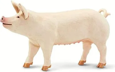 Produktbild von Safari 100269 - Spielfigur, 'Large White' Schwein 5,6cm