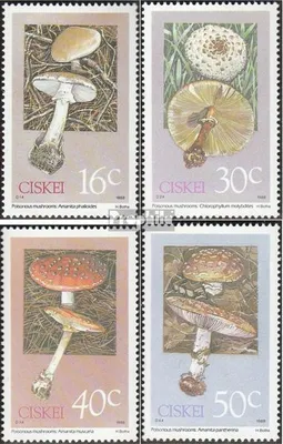Produktbild von Briefmarken Südafrika - Ciskei 1988 Mi 145-148 (kompl.Ausg.) FDC Giftpilze