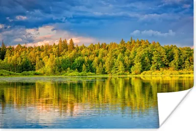 Produktbild von MuchoWow® Poster Wasser - Natur - Wald 60x40 cm - Schlafzimmerdekoration