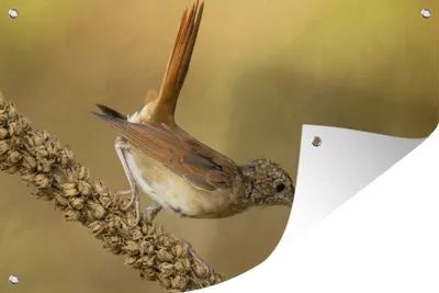 Produktbild von MuchoWow®