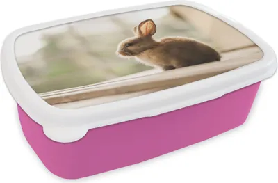 Produktbild von KitchenYeah® Lunchbox Brotzeit Brotdose 17x11 cm Kaninchen - Baby - Tier Kinder Brotzeitdose - Lunchpaket - Brotkasten  - Sandwich Box