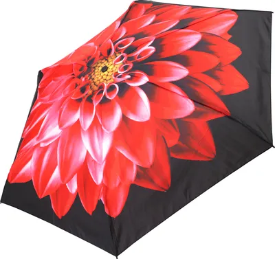 Produktbild von Regenschirm Taschenschirm Damen Klein Kompakt Auf-Zu Automatik Motiv Blume