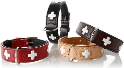 Produktbild von Hunter Halsband Swiss nickel, rot - Gr.65
