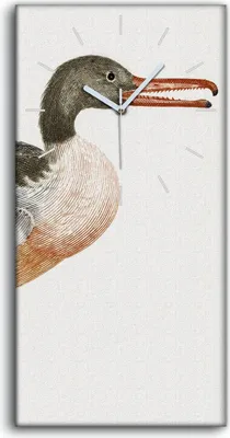 Produktbild von Wohnzimmer-Bild Leinwand Uhr Geräuschlos 30x60 Zeichnung Tier Vogel Kunst - weiße Hände