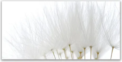 Produktbild von Tulup Leinwand-Bilder 140x70 Wandbild Canvas Kunstdruck Blumen Pflanzen