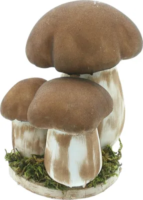 Produktbild von ohne Marke Deko-Figur Steinpilze" braun OneSize"