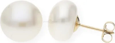 Produktbild von JuwelmaLux Ohrstecker 333 Gold mit Süsswasser Zuchtperle JL10-06-1448