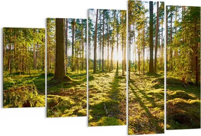 Produktbild von Bild auf Leinwand - Leinwandbild - Wald Baum Natur - 150x100cm - Wand Bild - Wanddeko - Wandbilder - Leinwanddruck - Bilder - Kunstdruck - Wanddekoration - Leinwand bilder - Wandkunst - EG150x100-3724