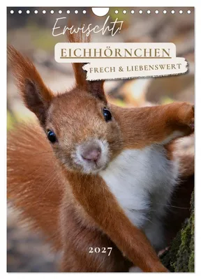 Produktbild von Erwischt! Eichhörnchen (Wandkalender 2027 DIN A4 hoch), CALVENDO Monatskalender