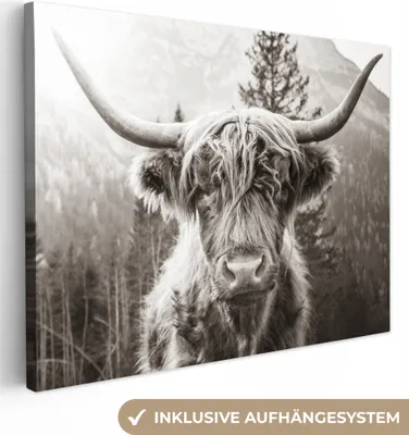 Obrázek produktu pro OneMillionCanvasses® - Plátno - Skotský horal - Kráva - Zvířata - Černá - Bílá, nástěnná malba, nástěnné dekorace obrazy obývací pokoj, 80x60cm