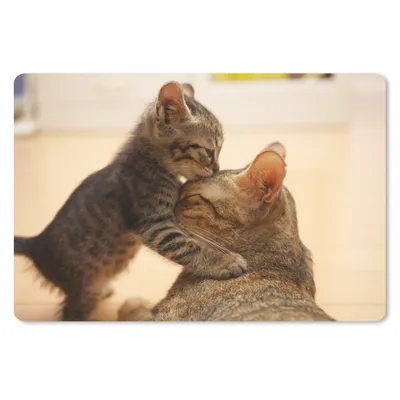 Produktbild von MuchoWow® Mauspad Mousepad Katze - Kätzchen - Schwarz 27x18 cm - Mousepads - Maus Mat - Pad - Mausunterlage - Büroartikel - Desk Matten