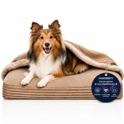 Produktbild von Orthopädisches Hundebett Höhlenbett Gelenkschonend L 90x70 cm Beige, KI-generiertes Bild