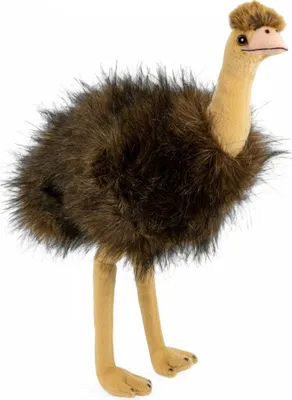 Immagine prodotto di Carl Dick Emu 28 cm circa, peluche, peluche, peluche 3731
