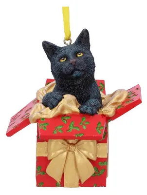 Produktbild von Nemesis Now Weihnachtskugeln Present Cat Standard Standard