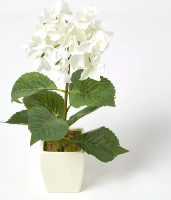 Produktbild von HOMESCAPES Künstliche Hortensien in weißem Topf, Creme