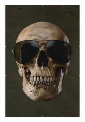 Produktbild von Wallario Wandbild Totenschädel mit cooler Sonnenbrille, Größe: 61 x 91,5 cm, Poster mit rahmenlosen Bildhalter