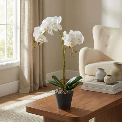 Produktbild von Künstliche Orchidee, 54 cm im Topf – Realistische Kunstpflanze – Pflegeleicht – Weiß/Lila – Dekoration für Wohnzimmer & Büro [11918]