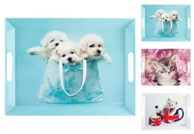 Immagine prodotto di H&H Set In Malamina Cats&Dogs Cm38X51